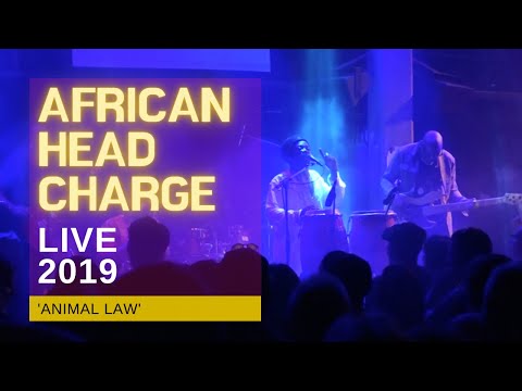 African Head Charge ⚡ 'Animal Law' - Live in London 2019 (HD Audio & Video)