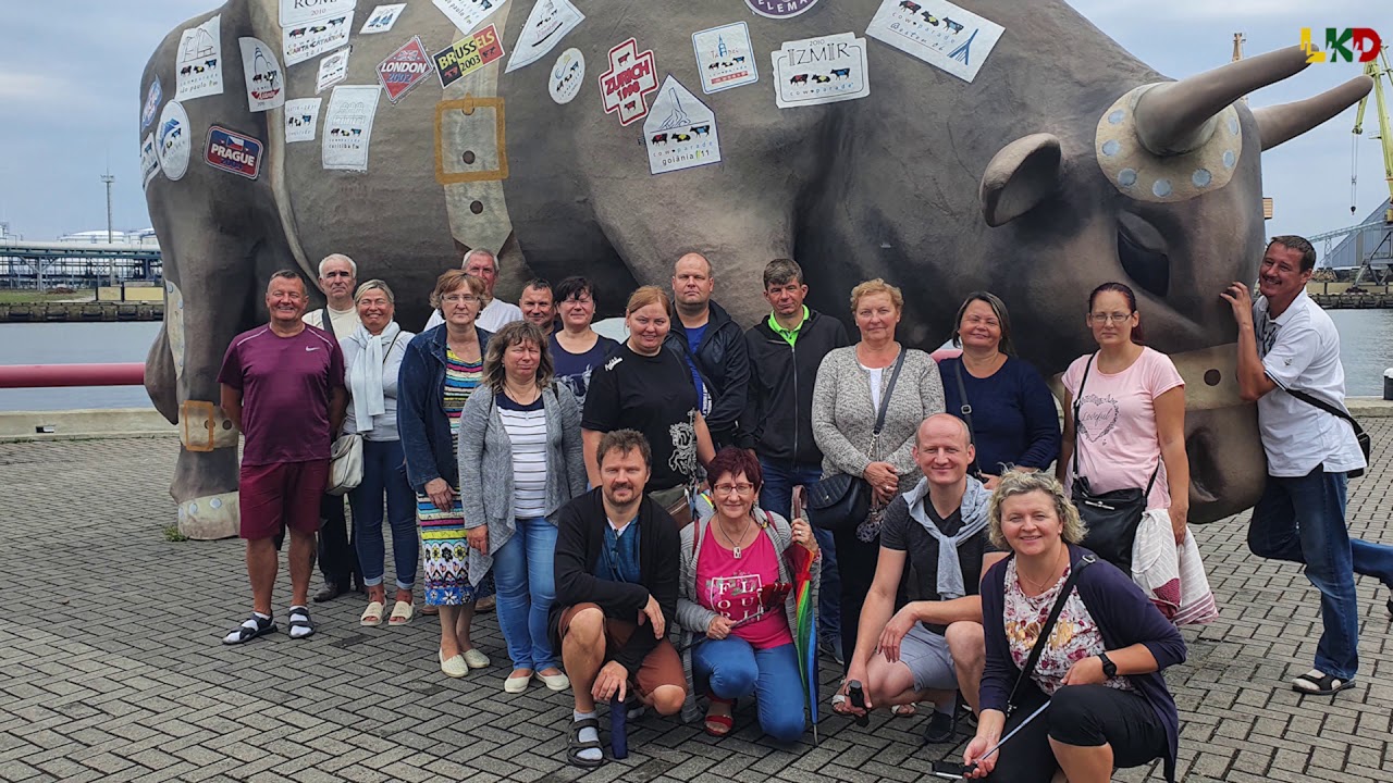 LKD savanorių veiklos 2020 m.