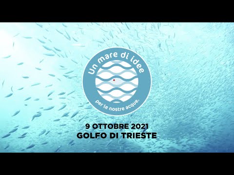 Anteprima video