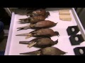KQED NEWSROOM Segment Bring Back Extinct Species Segment April 18 2014