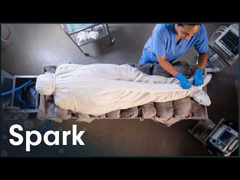 The First Man To Be Mummified In 3,000 Years