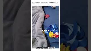 o galo tá dormindo melhor que eu 😂😂 #vídeosvirais #conteudoviral #engraçado