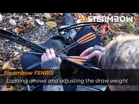 Learn how to load and cycle the Steambow Fenris properly and how to adjust the M1 bow