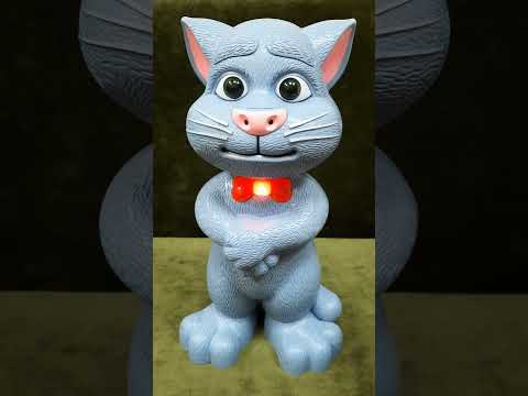 Cute Tom the trendy cat🐱