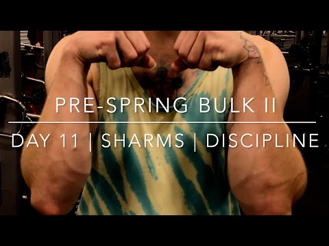 Pre-Spring Bulk 2 | Day 11 | ShArms | Discipline