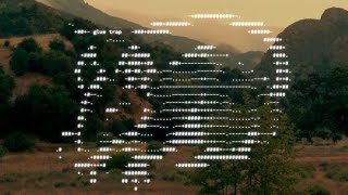 Cover art for Glue trap