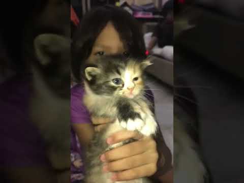 We are 24 days today@ habibah suradi