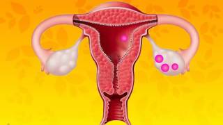 CBSE 8 Science Reaching the age of Adolescence Sexual maturity at puberty 1