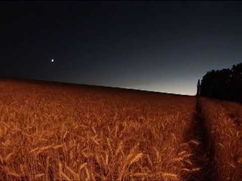 Time Lapse - Sunset on a Wheat Field with the Planet Venus in the Sky
