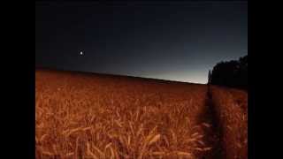 preview picture of video 'Time Lapse - Sunset on a Wheat Field with the Planet Venus in the Sky'