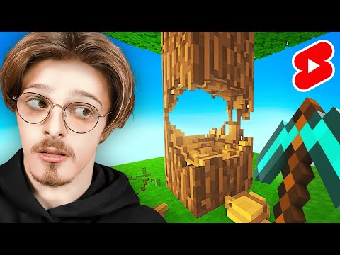 Les shorts Minecraft les plus vus de Youtube sont... bizarres...