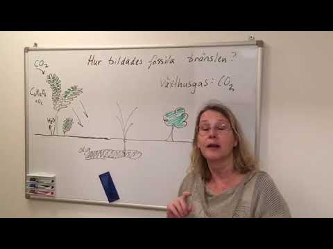 Skillnad mellan att förbränna träd( ved) och att bränna upp fossila bränslen