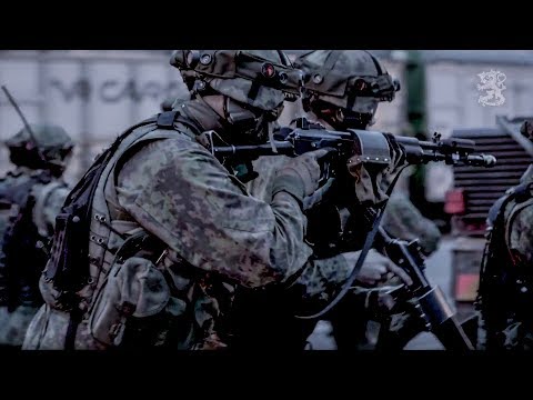 UUSIMAA17 – Valmiutta maalla, merellä ja ilmassa