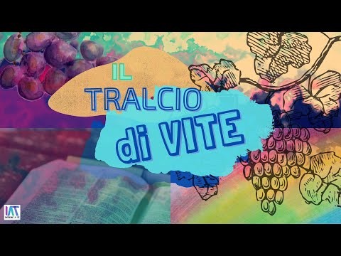 Il tralcio di VITE - Insieme a te