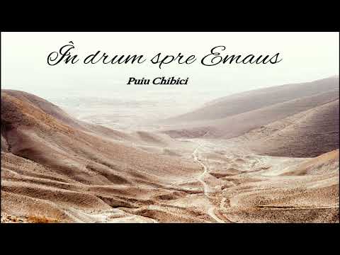 Album (15) În drum spre Emaus - Puiu Chibici