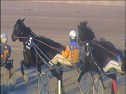 Trotto 31/12/2019 - 6ª corsa