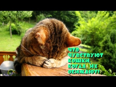 Клиники по лечению грыжи позвоночника в ростове на дону Артроз тазобедренный сустав гимнастика видео