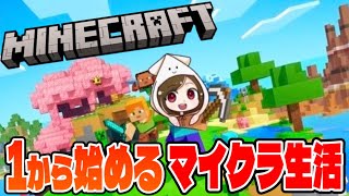 【マイクラ】初めてのマイクラ生活始めます！【Switch版 #1 】