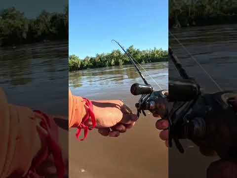 Pesca y Cocina LOS GOMEZ CHICO, Ríos Crecidos, Tucumán #Pesca #pescaycocina #fishing #fish #dorados