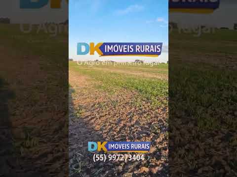 🚨 SEU PRÓXIMO PASSO NO AGRONEGÓCIO COMEÇA AQUI!
