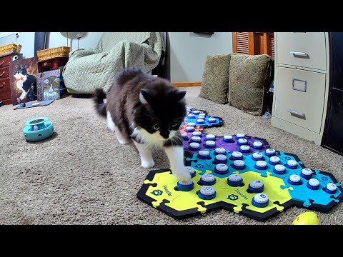 Todd Had A Lot To Say Today