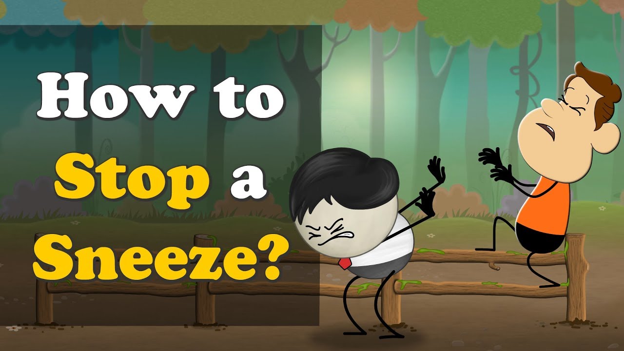 How to Stop a Sneeze? + more videos | #aumsum #kids #science #education #children