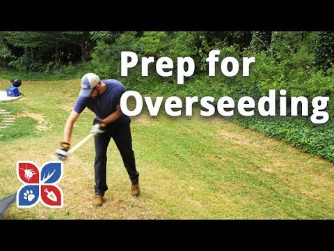  Do My Own Lawn Care - Prep for Overseeding Video 