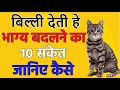 बिल्ली देती हे भाग्य बदलने के 10 संकेत Bil