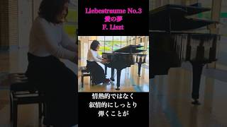 Download lagu Liebestraume No.3 愛の夢 Liszt #愛の夢 #liebestraum #liszt #franzliszt #リスト #ストリートピアノ #ストリートピアノ弾いてみた mp3 Download lagu Liebestraume No.3 愛の夢 Liszt #愛の夢 #liebestraum #liszt #franzliszt #リスト #ストリートピアノ #ストリートピアノ弾いてみた mp3