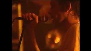 Shed Seven - Going For Gold (From the DVD &#39;Shed Seven Live In Concert: See Youse At The Barras&#39;)