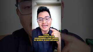 Download lagu Cara mendapatkan konsume luar negri, di bisnis ikan cupang?! #fishkinian #fishcupang #ikancupang mp3