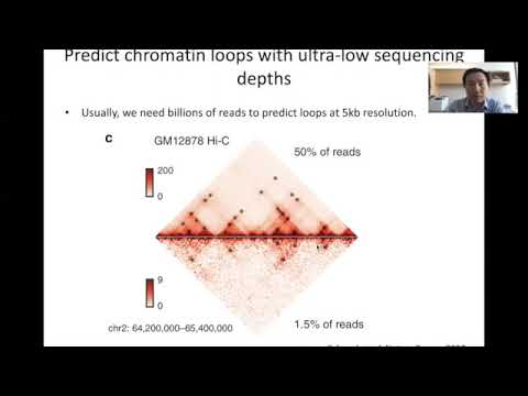 STAT115 Chapter 15.6 Computational Methods to Call Chromatin Loops