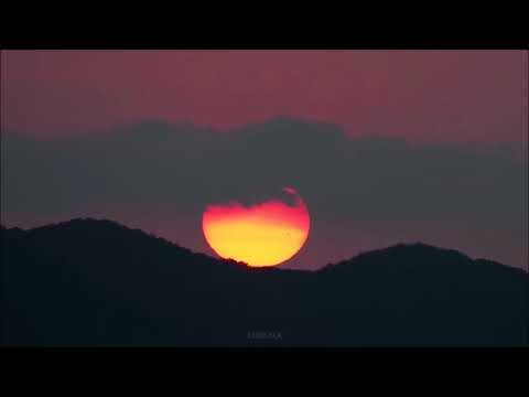 Compromisso e Disciplina - Msg Espírita - 02 ABR 2020