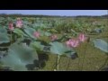Саида Мухаметзянова Вдоль реки 