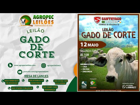 Agropecleiloes AO VIVO |LEILÃO GADO DE CORTE | SANTHYAGO LEILÕES | FORMOSO DO ARAGUAIA-TO | 12/05/25