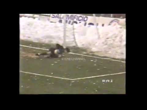 Borin Fausto Parate dal 1979 al 1985 - Udinese,Cremonese