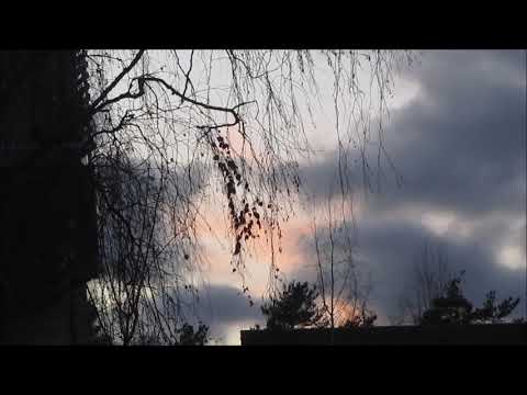 Saija Varjus - Yön tummat siivet..🎵 The Steelers - Yön hiljaisuudessa..🎵