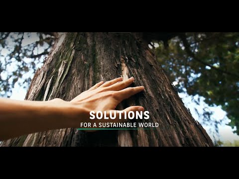 Find out more about BNP Paribas: its businesses, its strategic plan and its commitments