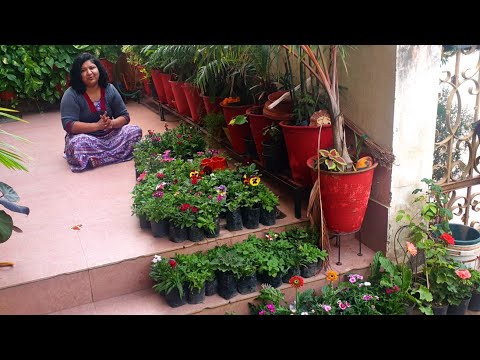 Export overview video