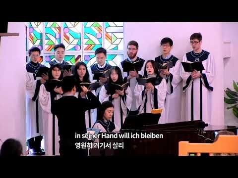An Jesu Hand (주 날개 밑 내가 편안히 쉬네)