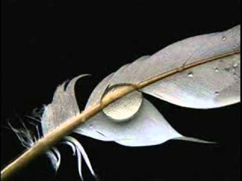 MC Kokhal - Algo Por Dizer(2006)kom Blackout