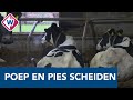 Nieuwkoopse boeren 'verhuren' stikstofruimte aan de industrie -OMROEP WEST