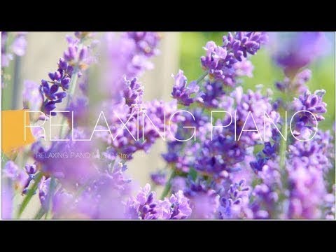 Музыка Для Снятия Стресса  - RELAXING CALM PIANO  Music - Meditation Music  / Stress Relief Music