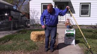 Planting Grass Seed- Over Existing Grass or New Lawn