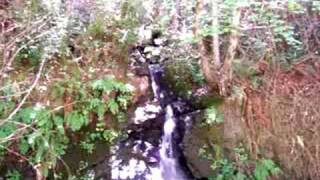 preview picture of video 'Dark Gulch Waterfall, Sinkyone Wilderness State Park, Calif'