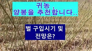 귀농, 양봉을 추천해 봅니다(벌 구입시기 및 전망은?)