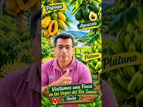 Así es una Finca Productiva en las Vegas del Río Suaza, Huila