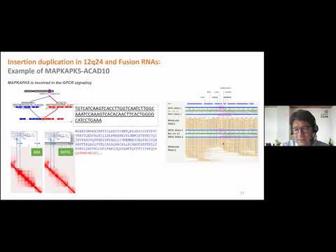 Genomic SVs Lead to New DNA Scaffold and Fusion RNA in Aggressive Uveal Melanoma Models