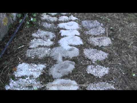 Les principales étapes d'un forage