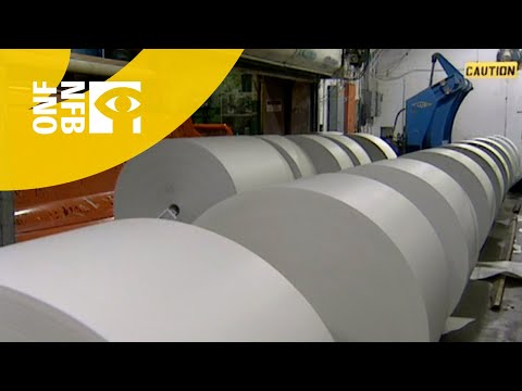 How Do They Recycle Paper?